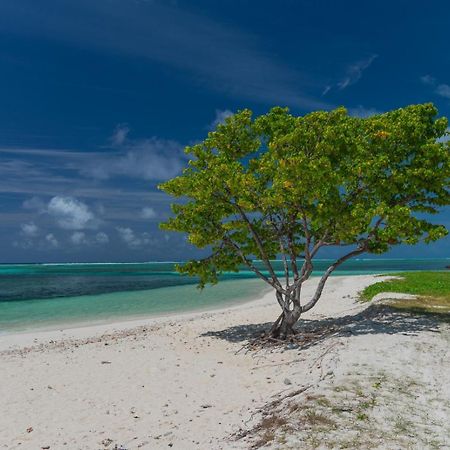 Chao Guest House Maafushi Extérieur photo