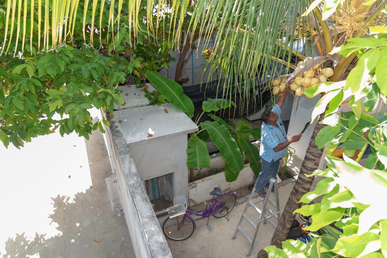 Chao Guest House Maafushi Extérieur photo
