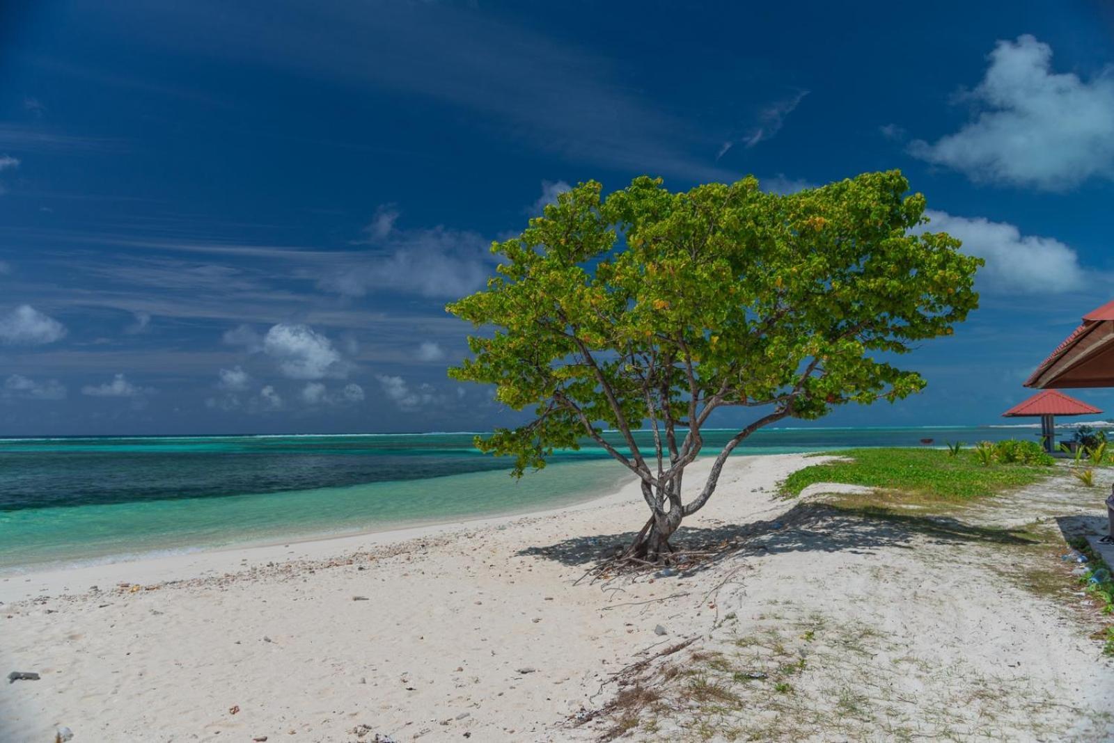 Chao Guest House Maafushi Extérieur photo