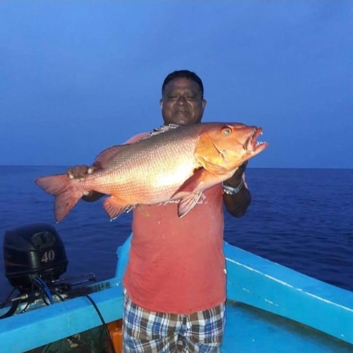Chao Guest House Maafushi Extérieur photo